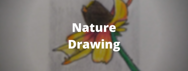Nature Drawing workshop & meditation - Image 3