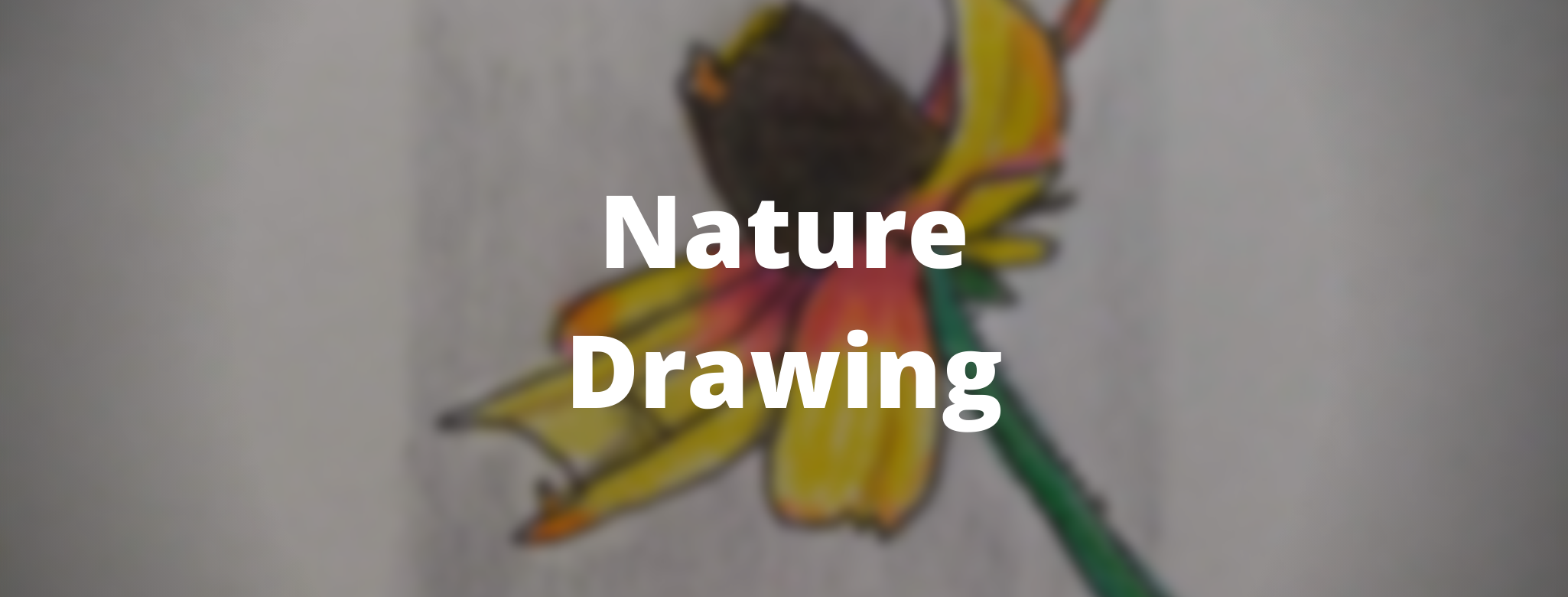 Nature Drawing workshop and meditation