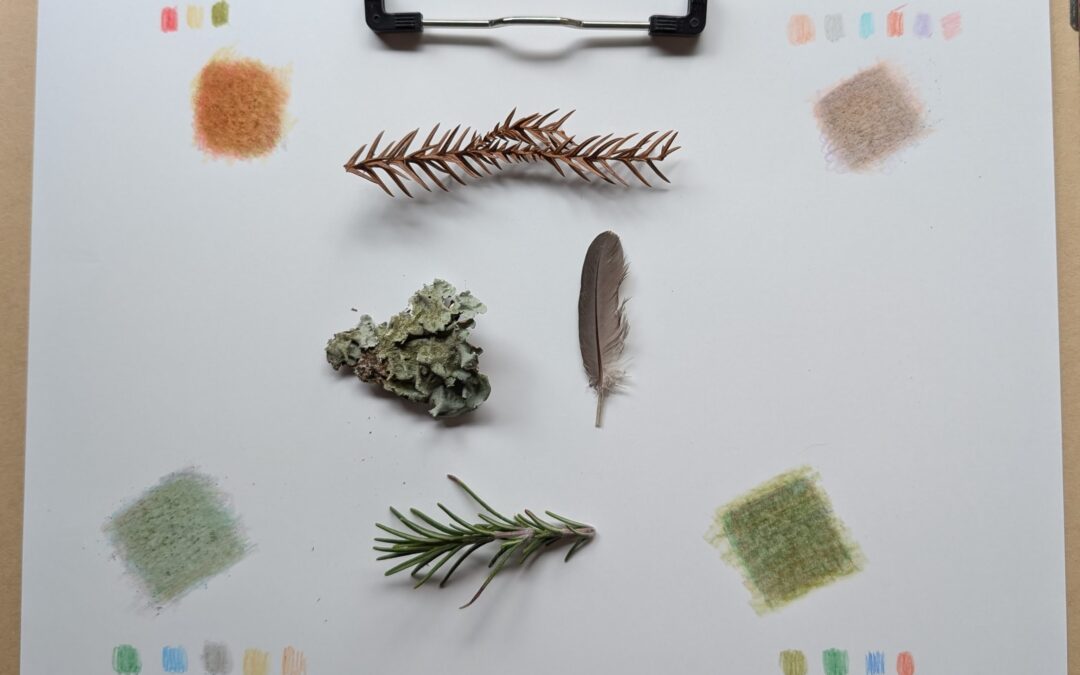 Color Matching Meditation